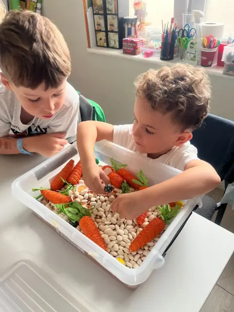 Chłopcy szukają marchewek w Sensory Box z fasolą